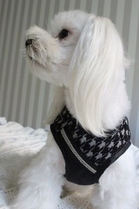 Dog Harness Prestige Black