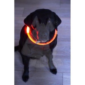 Flashy Fido LED dog collar