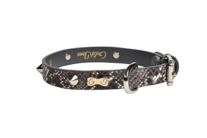 Luxury Dog Collar Goldbone Snake Spiky