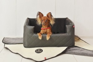 Comfortable Car Seat for Dogs