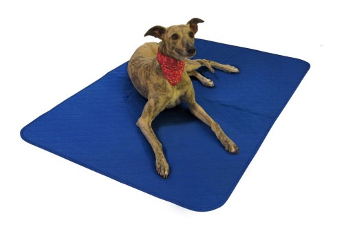 a21200c41ce566d9a042394a35ca8f30