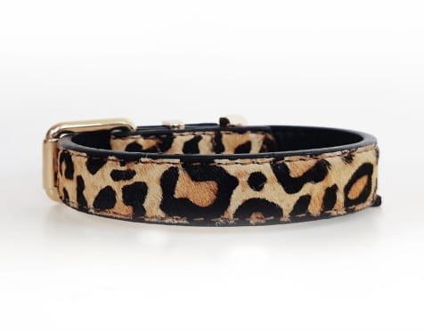 Obroża dla psa Milk&Pepper Leopard