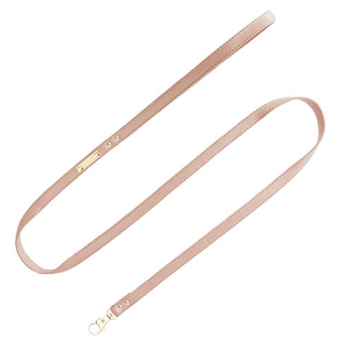 Golden leash_Funky.png