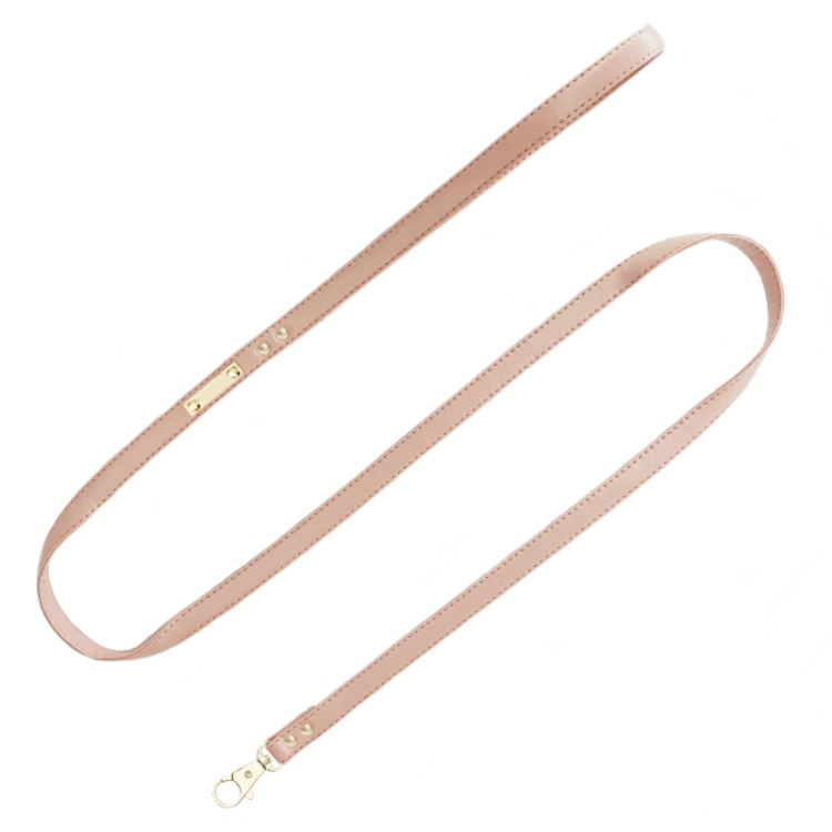 Golden leash_Funky.png