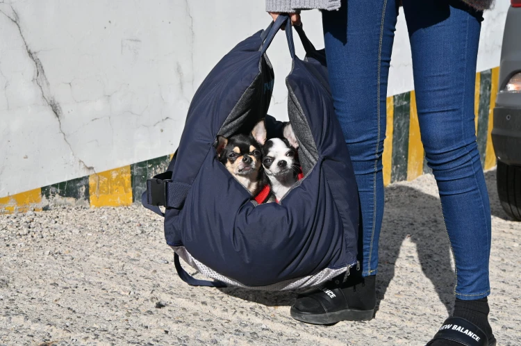 Puppia 2w1 luksusowy fotelik_lifestyle.JPG