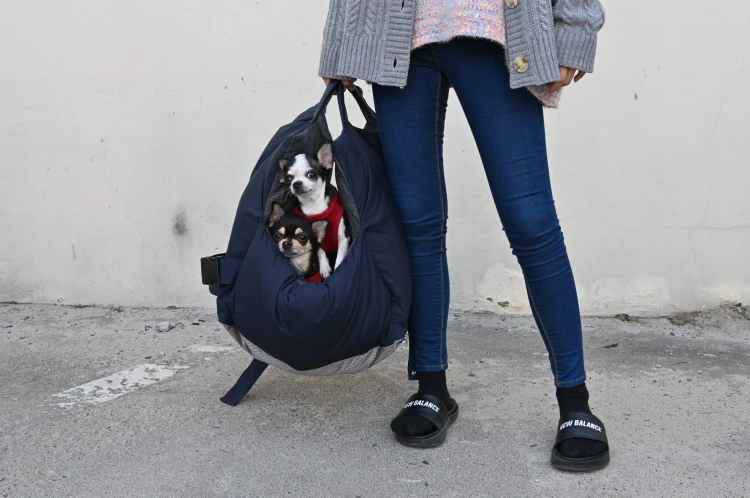 Puppia 2w1 luksusowy fotelik_lifestyle1.JPG