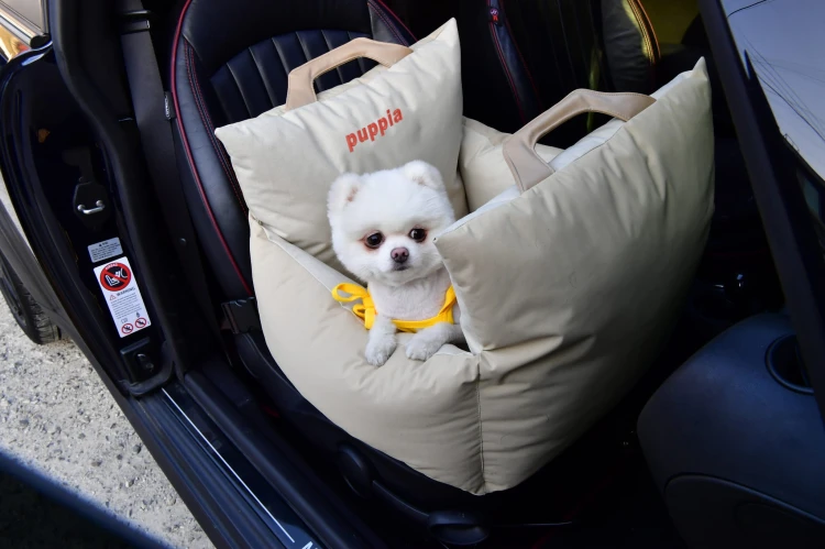 Puppia 2w1 luksusowy fotelik beige_lifestyle.jpg