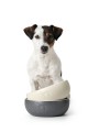 Miska ceramiczna dla psa Lund grey_dog