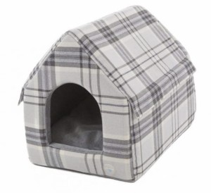 Dog House Grey Moment