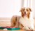 Nina Ottosson Dog Brick - interaktywna zabawka dla psa_2