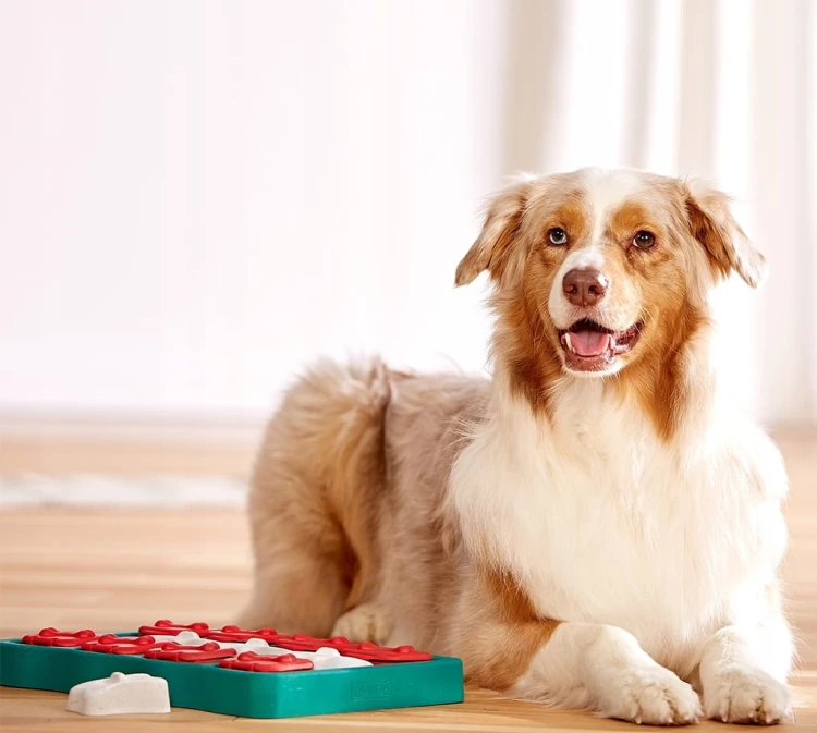 Nina Ottosson Dog Brick - interaktywna zabawka dla psa_2