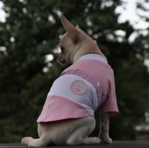 Lovely dog T-shirt Pink&White