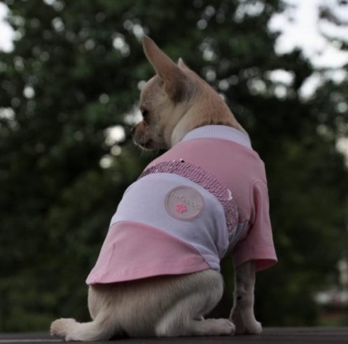 Koszulka dla psa Pink&white
