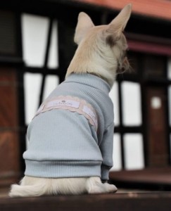 Lovely dog T-shirt Light Blue Sky