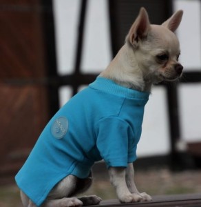 Lovely dog T-shirt Blue Lagoon