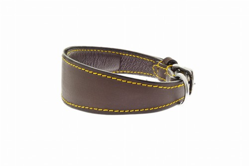 Elegancka obroża dla charta brown