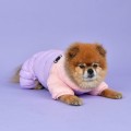 Ultralekki zimowy kombinezon dla psa Puppia pastel pink