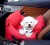 Luksusowy fotelik samochodowy dla psa+torba Puppy Angel Magagio Petrari red