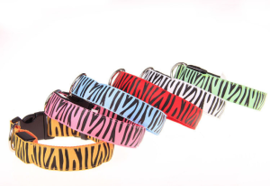 Flashing LED Dog Collar Zebra pink (1)