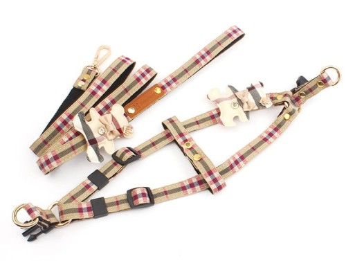 Luksusowy zestaw dla psa: szelki + smycz