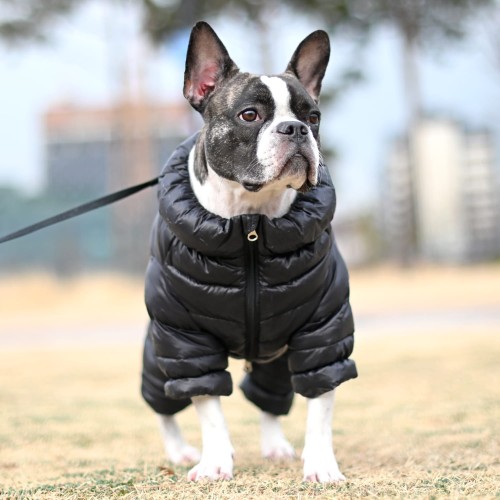 Zimowy kombinezon dla psa Puppia Ultra light black