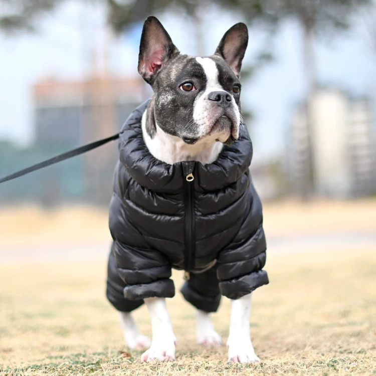 Zimowy kombinezon dla psa Puppia Ultra light black