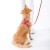 eleganckie szelki dla psa Smart Animal czerwone_dog.jpg