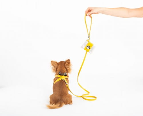 Eleganckie szelki dla psa Smart Animal żółte_dogs.jpg