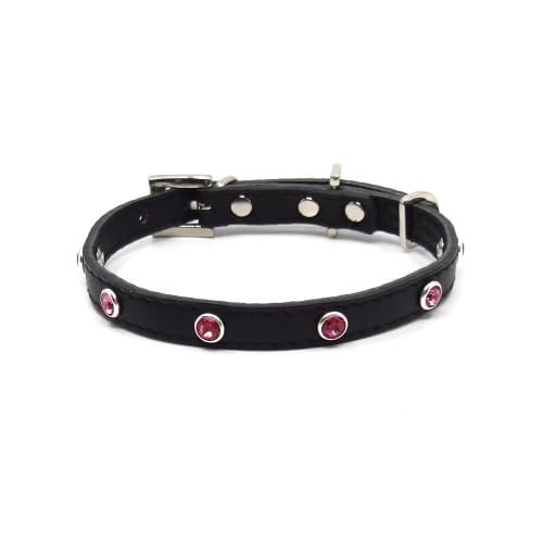 Skórzana obroża dla psa Smart Animal Swarovski.jpg