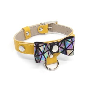 Luxury Dog collar Smart Animal with lead