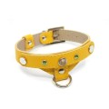 Elegancka obroża dla psa Prestige żółta.jpg