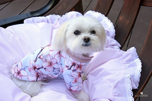 bluza flowers pink.jpg