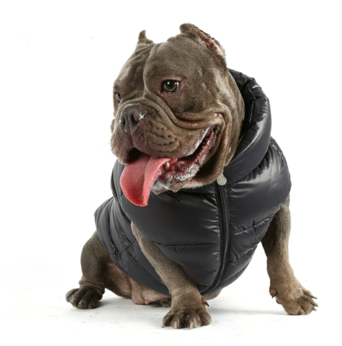 kurtka puchowa Puppy Angel dla psa Regular black.png