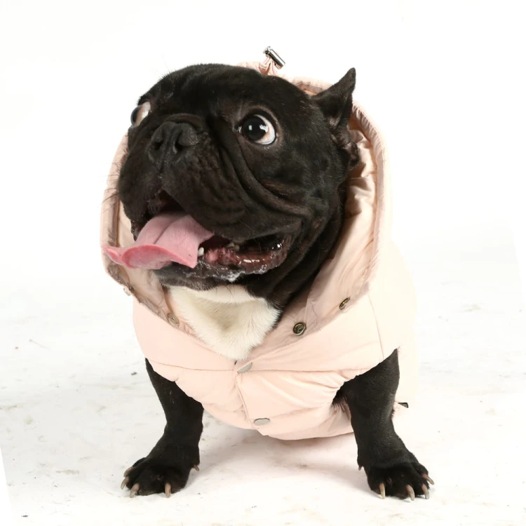 Puchowa kurtka Puppy Angel Regular pink.jpg