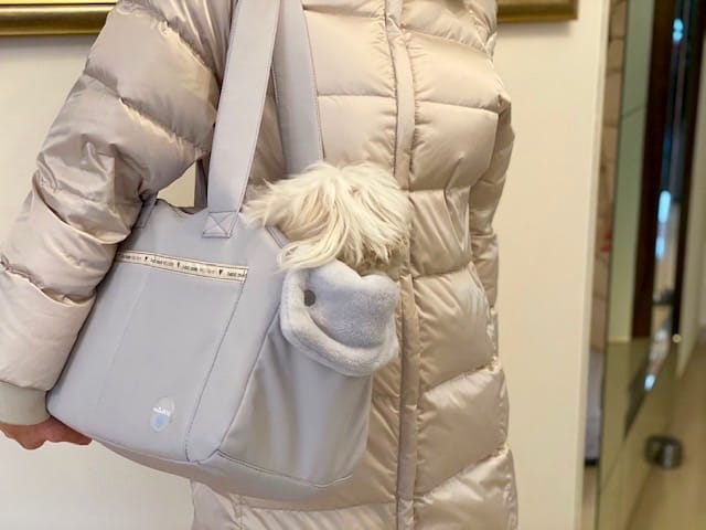 torba dla psa Grey Cloud.jpg