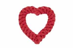 Valentine's Dog Toy Heart