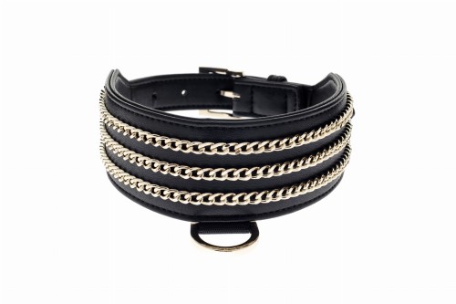 dog collar Le Dangerouge.jpg