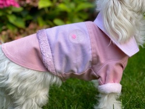 Stylish dog jacket Gigi