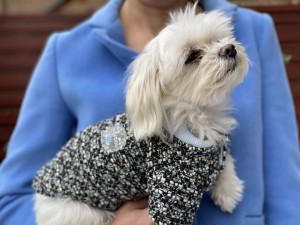 Stylish dog sweater Coco blue