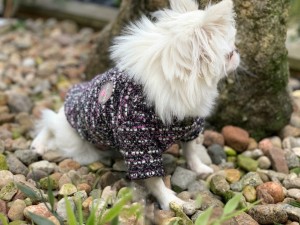 Stylish dog Sweater Coco pink