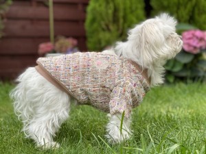Stylish dog sweater Coco beige 