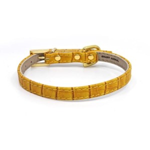 Luxury Dog collar Glamour Smart Animal Crocodile