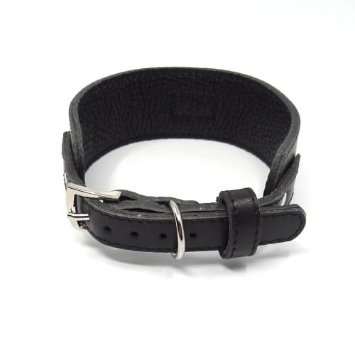 Obroża dla charta Smart Animal Smart black.jpg