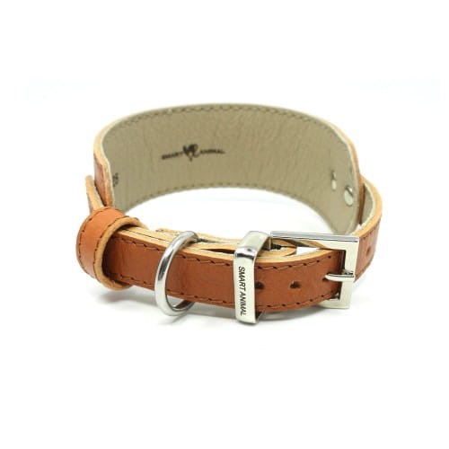 Elegancka obroża dla Charta Smart Animal Smart carmel_details.jpg