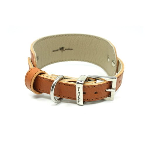 Elegancka obroża dla Charta Smart Animal Smart carmel_details.jpg