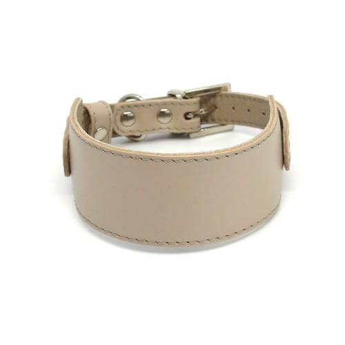 Elegancka obroża dla Charta Smart Animal Smart beige.jpg