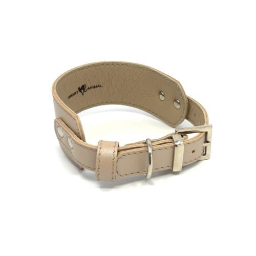Elegancka obroża dla Charta Smart Animal Smart beige_details.jpg