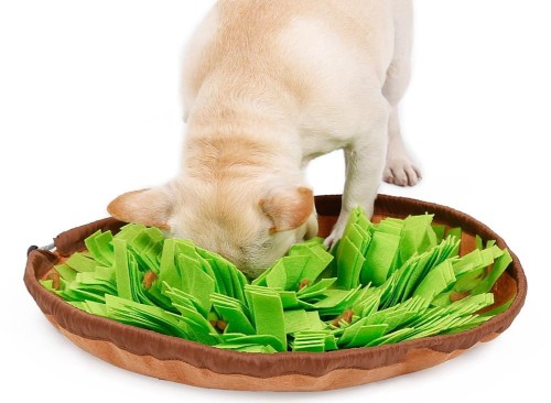 mata_wechowa_dla_psa_green.jpg