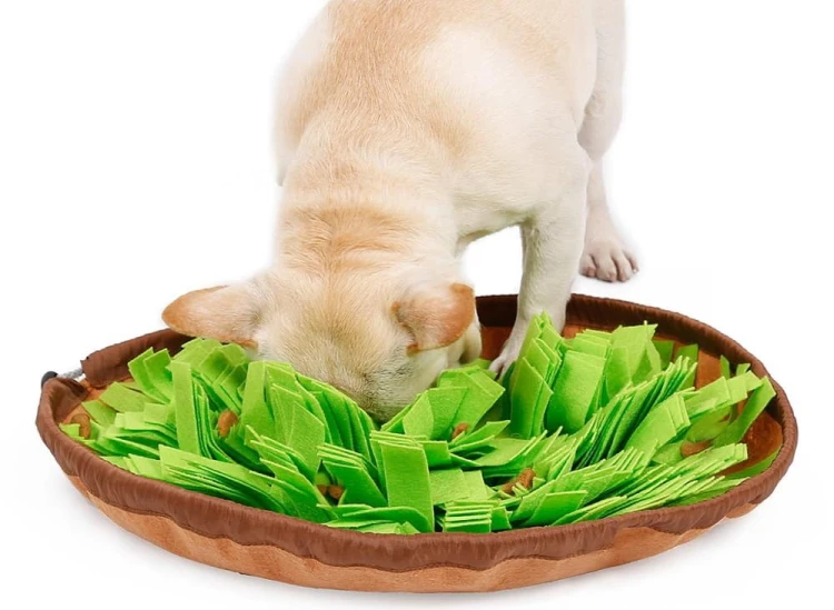 mata_wechowa_dla_psa_green.jpg