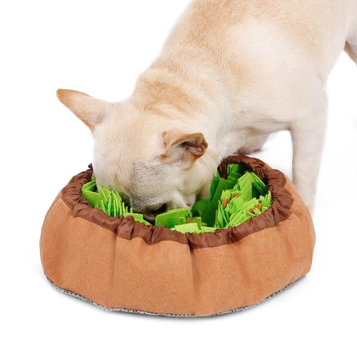 mata_wechowa_dla_psa_green_pies.jpg